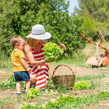 Agriturismo Le Biricoccole Vada Eksteriør billede