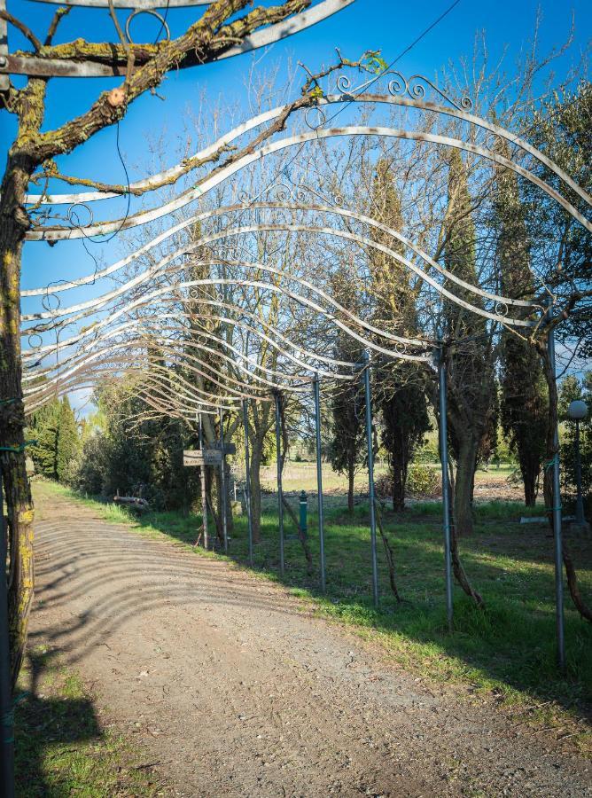 Agriturismo Le Biricoccole Vada Eksteriør billede
