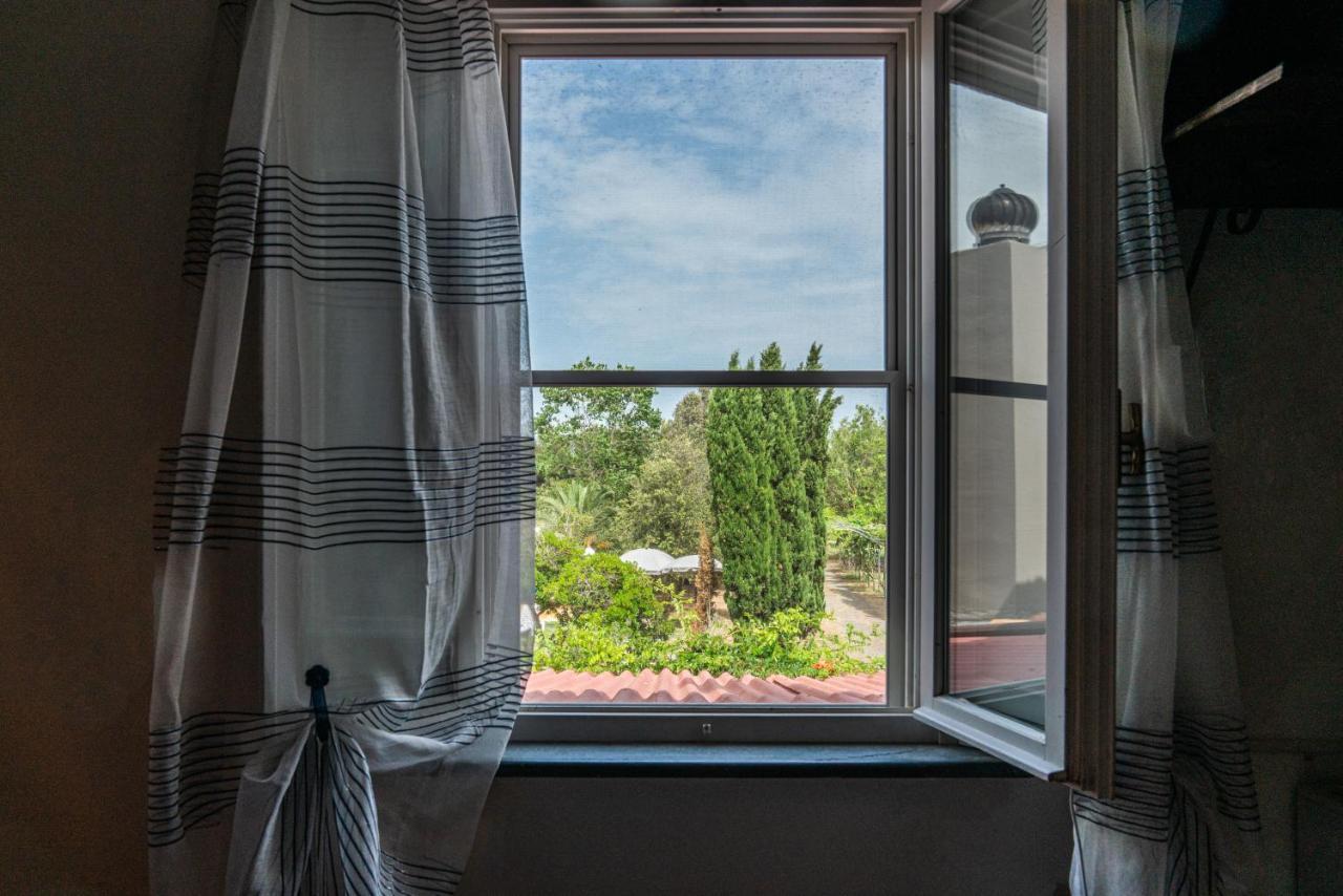 Agriturismo Le Biricoccole Vada Eksteriør billede